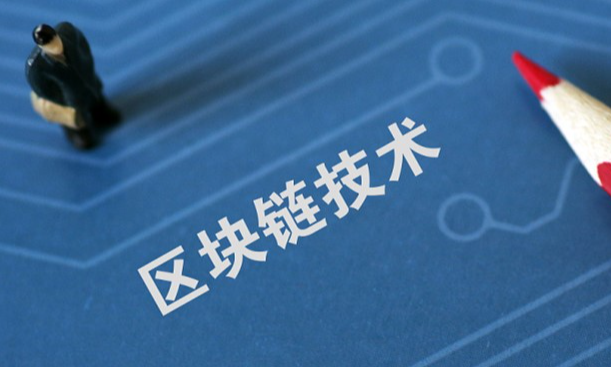 团队服务案例